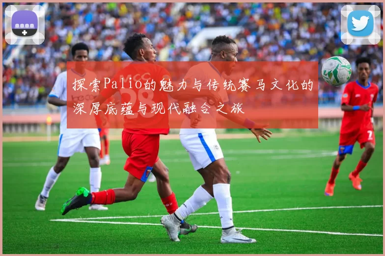探索Palio的魅力与传统赛马文化的深厚底蕴与现代融合之旅