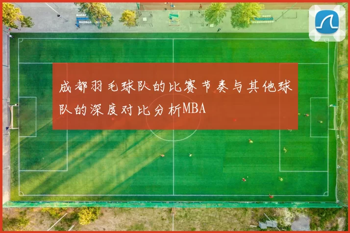 成都羽毛球队的比赛节奏与其他球队的深度对比分析MBA