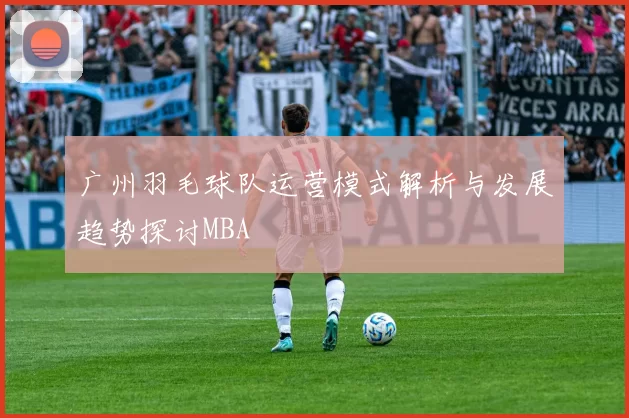 广州羽毛球队运营模式解析与发展趋势探讨MBA