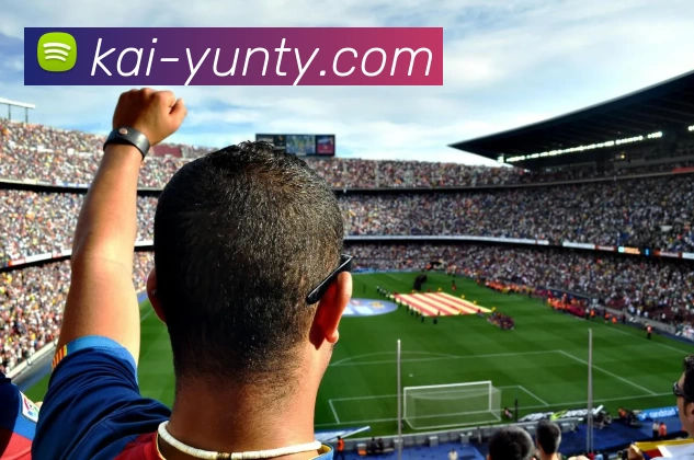 开云app下载发展历程